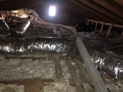 attic cleanup oakland